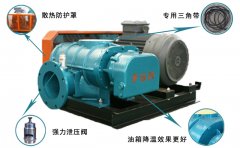 三葉羅茨鼓風機產生振動，發(fā)熱，異音的主要原因是什么