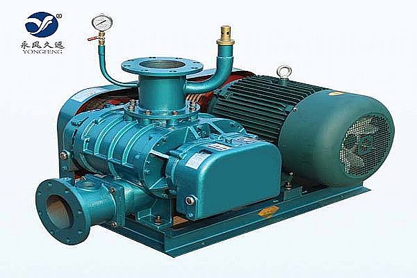 特殊氣體羅茨鼓風機