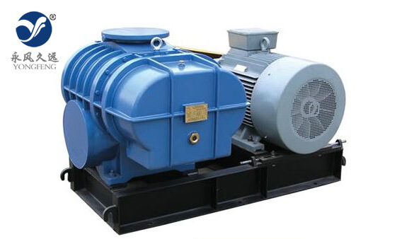 L系列兩葉羅茨鼓風(fēng)機(jī)